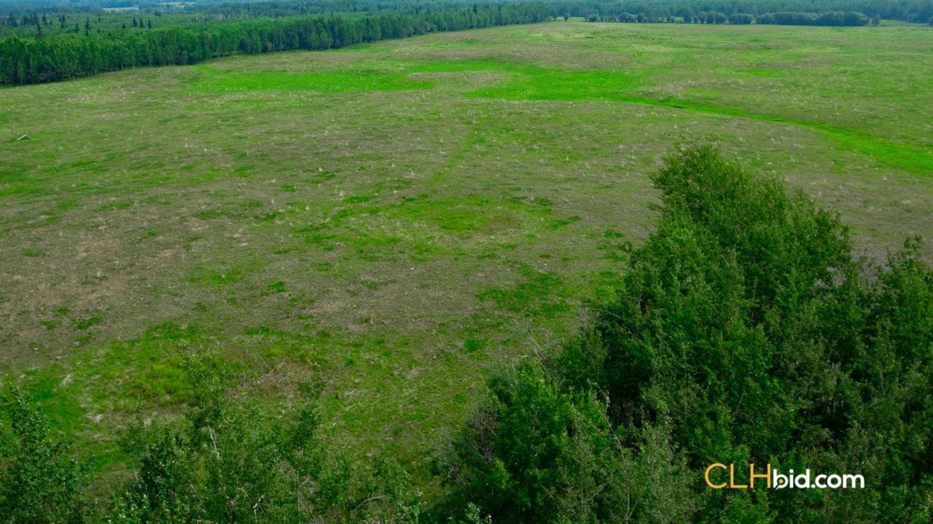 cattledrivecountry-1-3