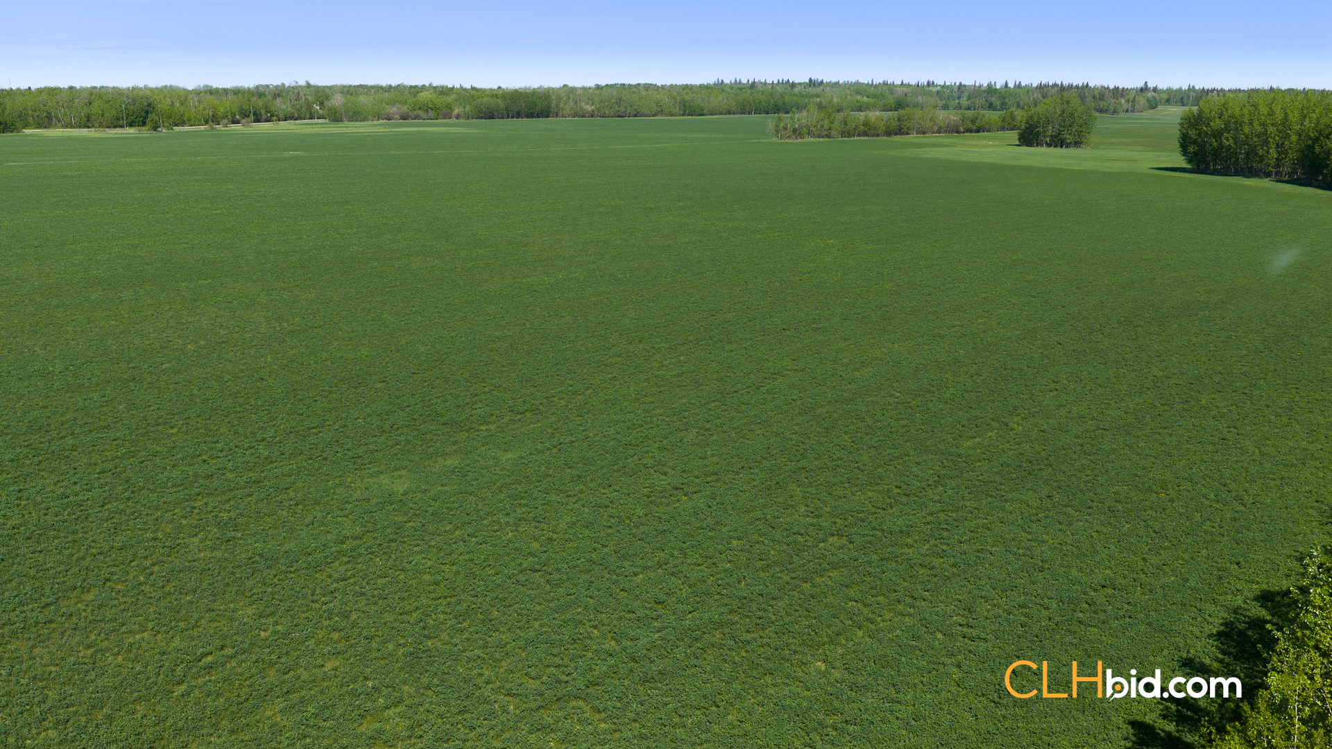 View from above of Cooking Lake Investor