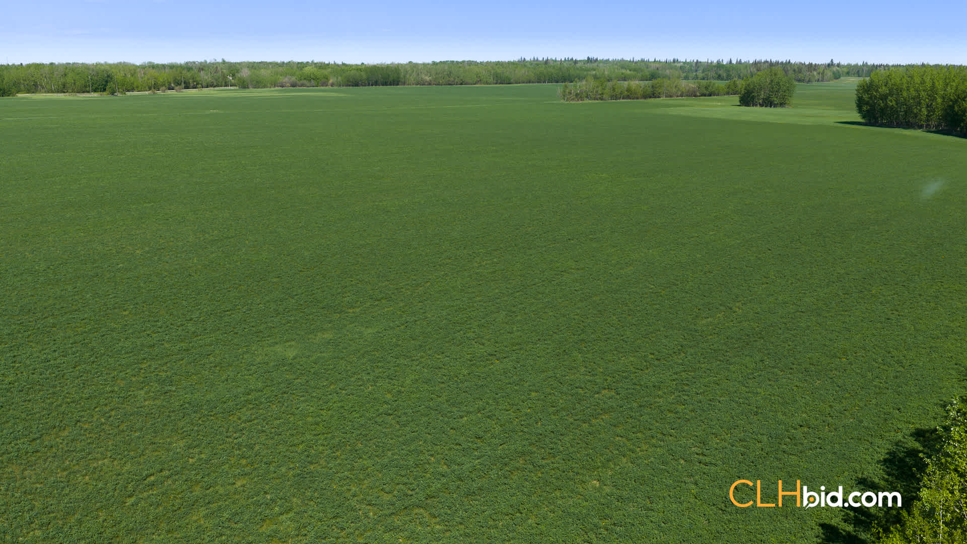 View from above of Cooking Lake Investor