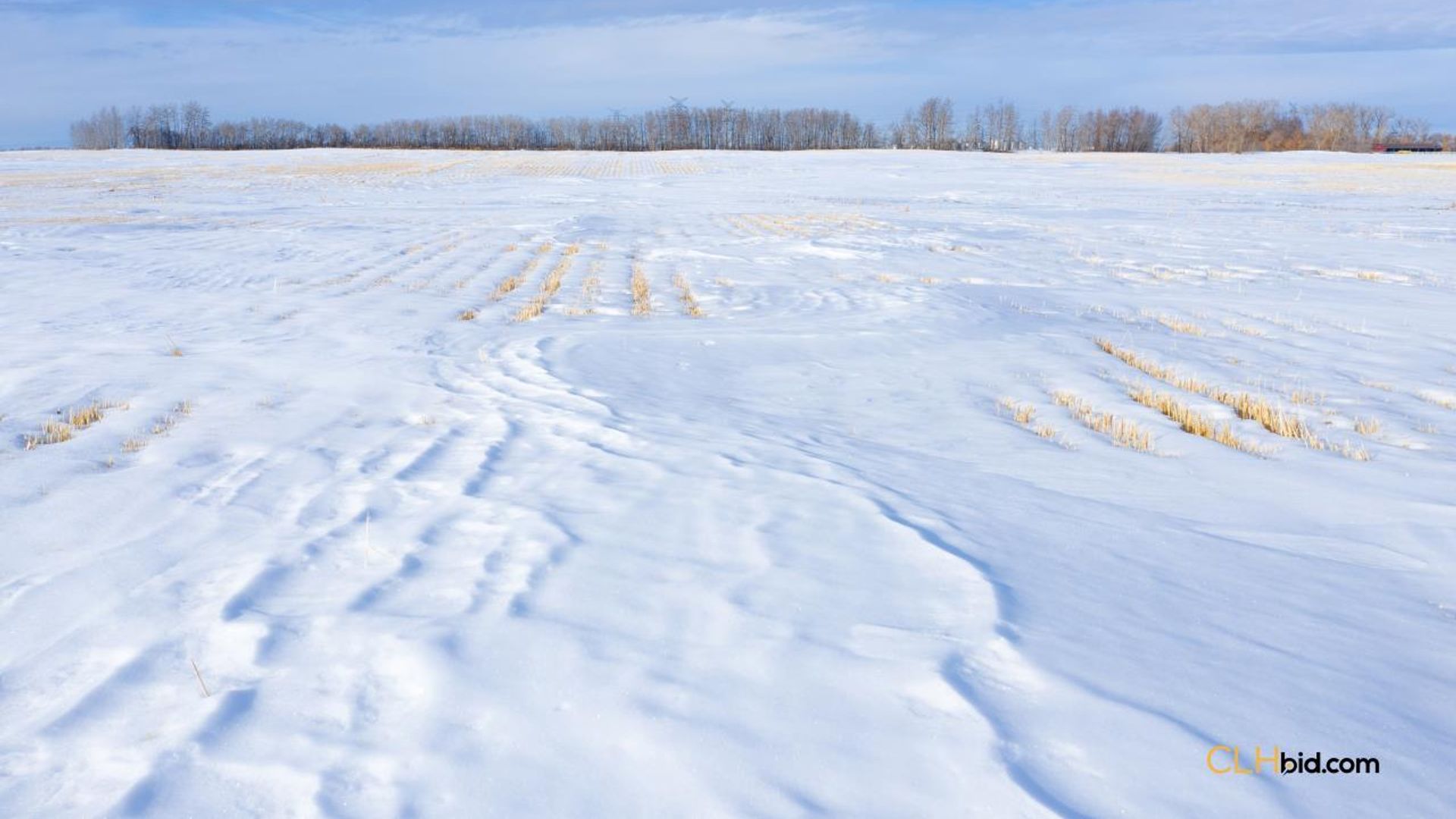 emeraldatgibbons-1-4