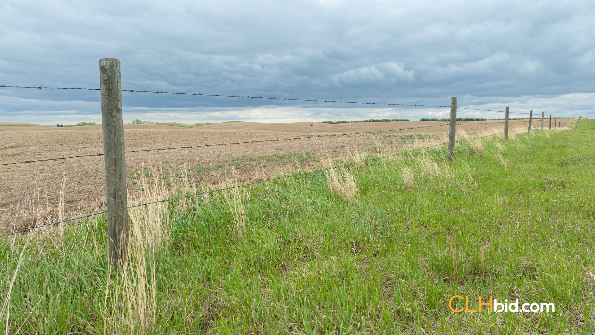 Web-LegacyMoveNEW-65