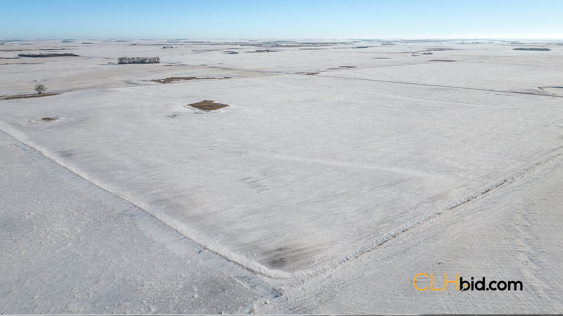 Cartwright Four Contentful 15