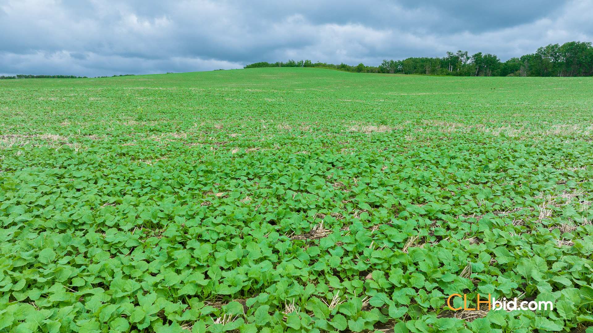 Web-VermilionRiver-3