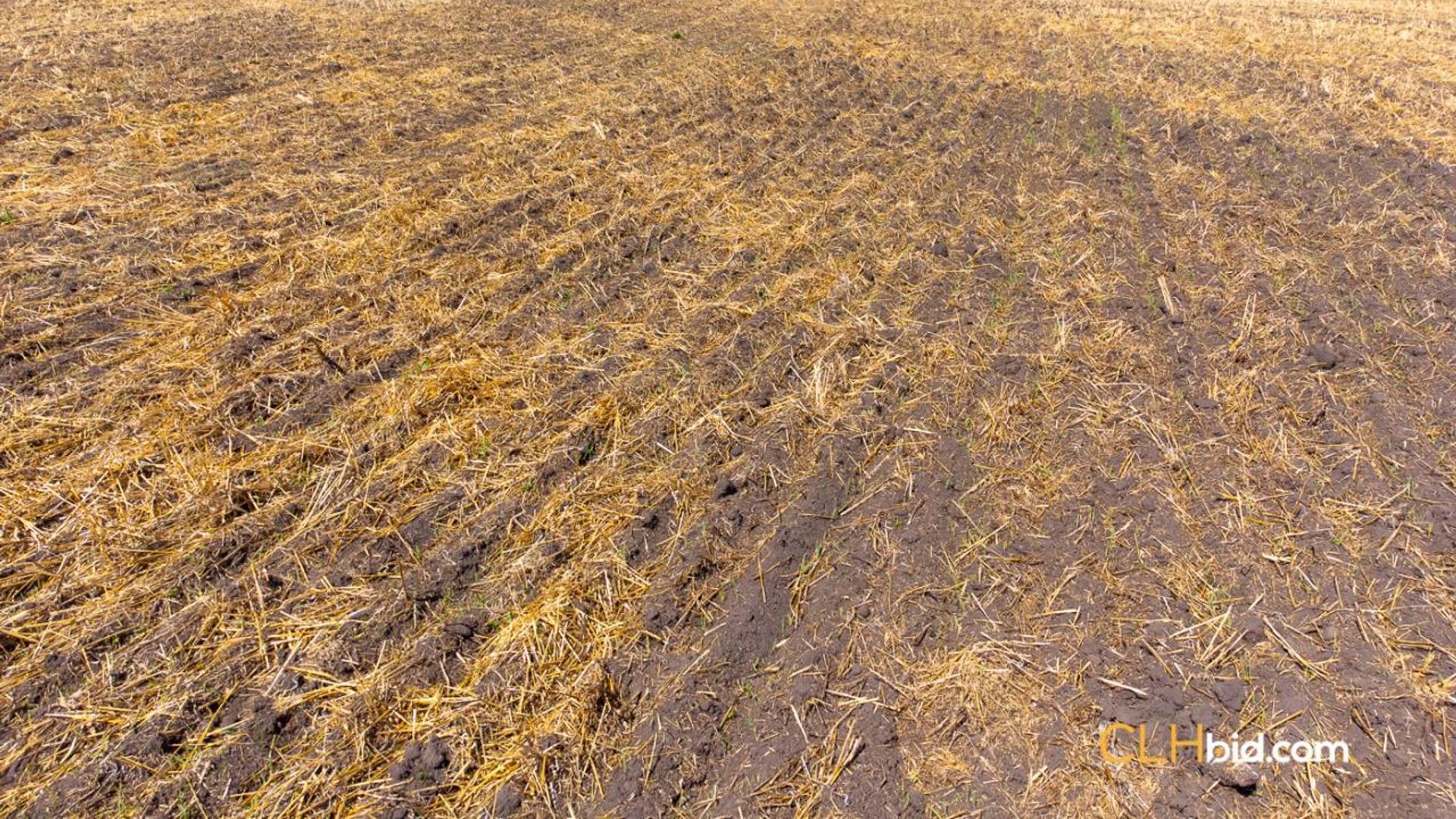 thelongmilevegreville-2-2