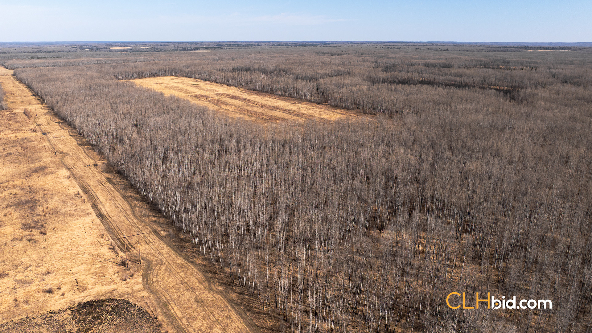 Web Sunrise Igniter Spring-3