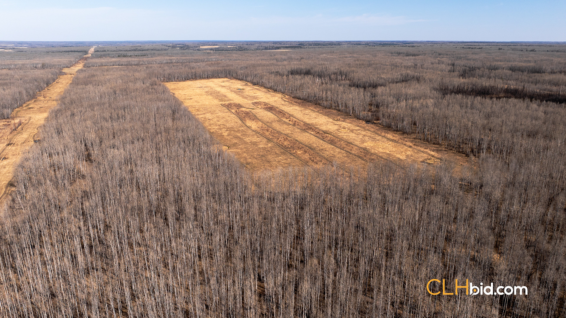 Web Sunrise Igniter Spring-2