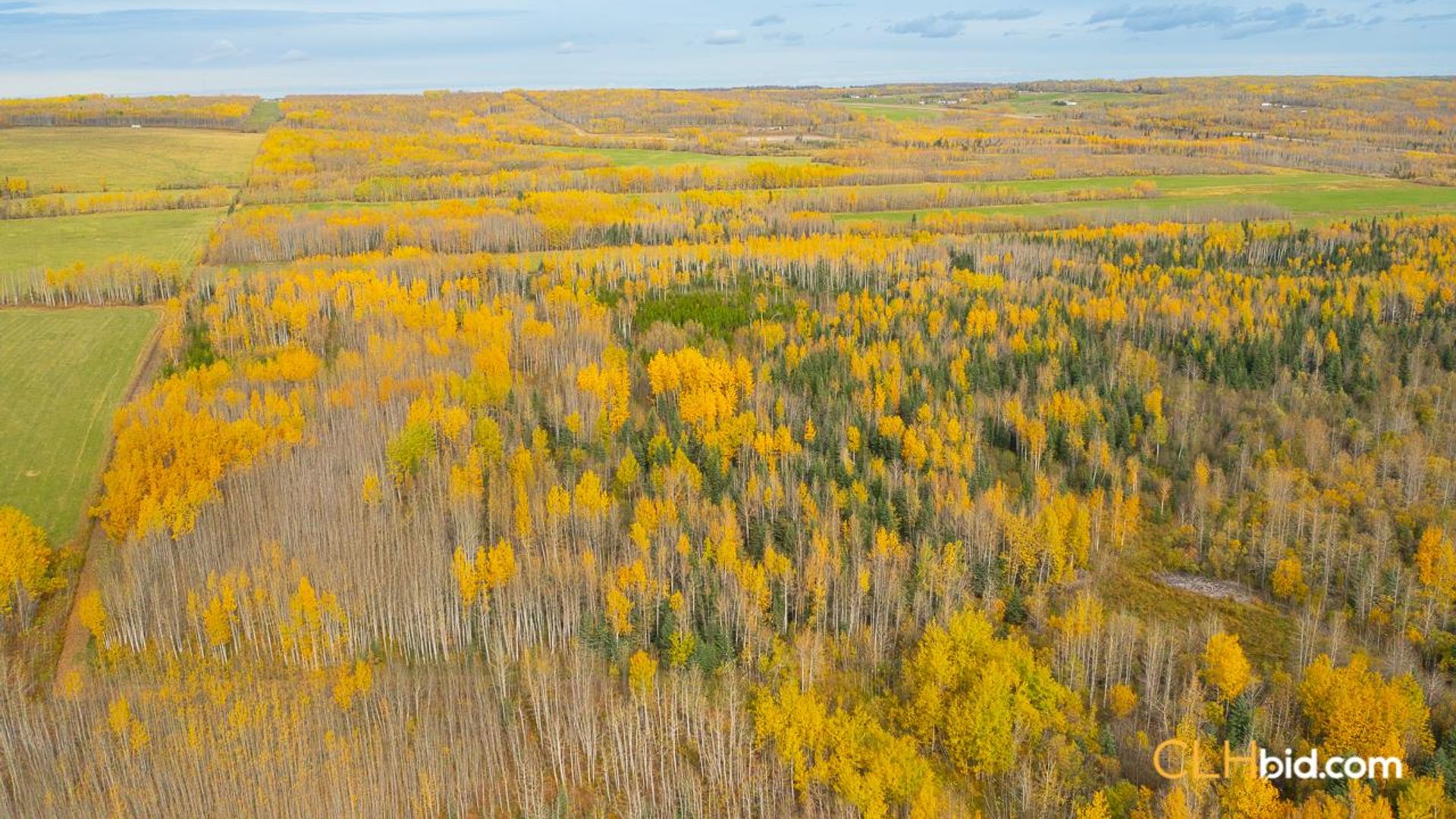 theranchonbradenroad-1-18