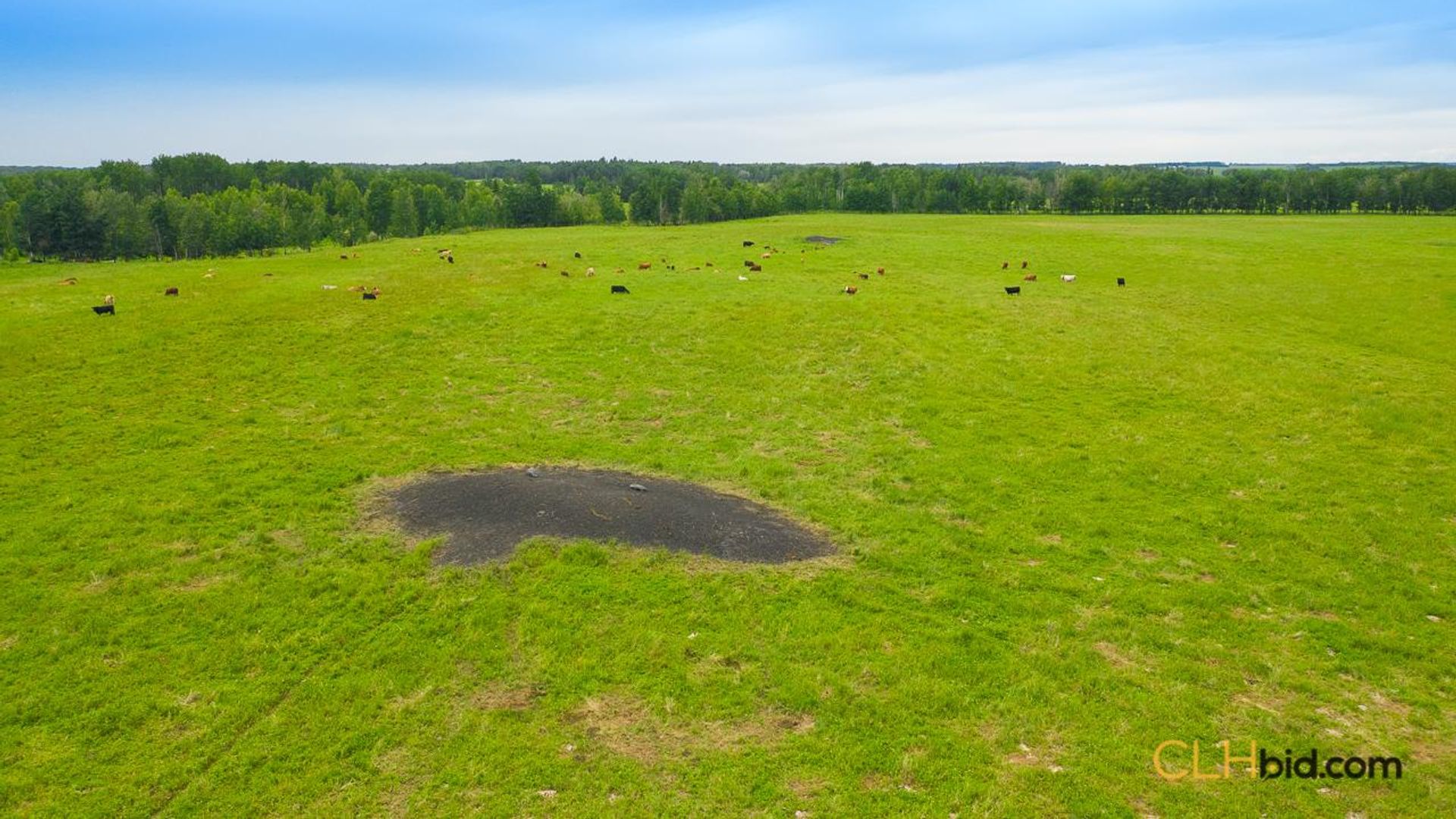 warburgdoubletree-2-10