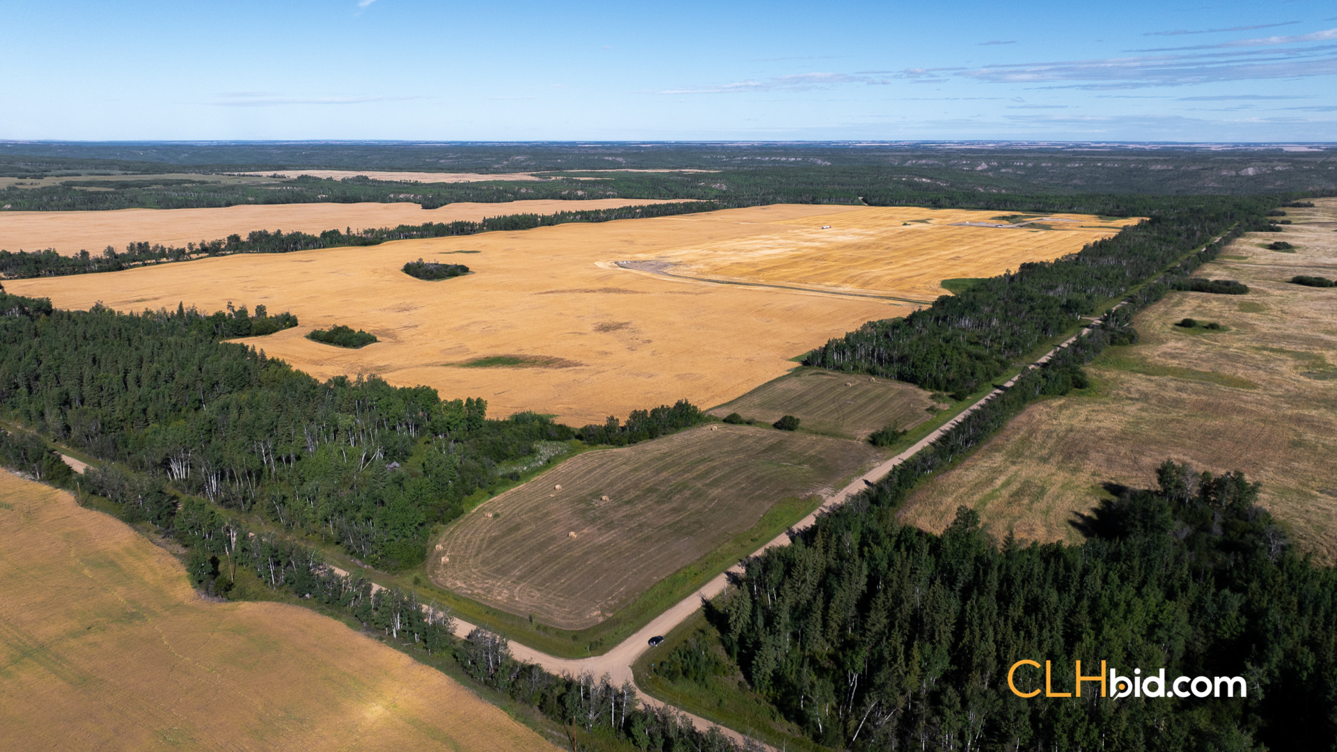 Web Veteran Legacy-16