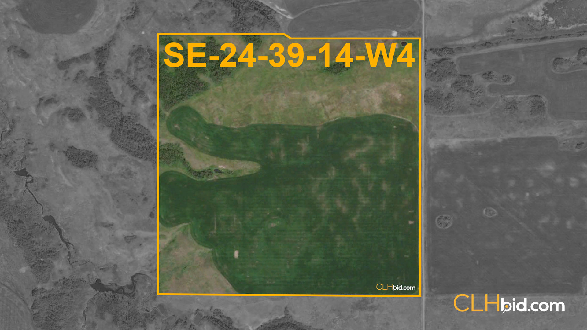 GALAHAD 156 - WIDE - Contentful