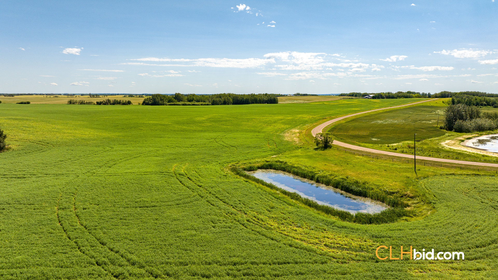 Web-Two-Hills-Next-Level-UPDATED-16