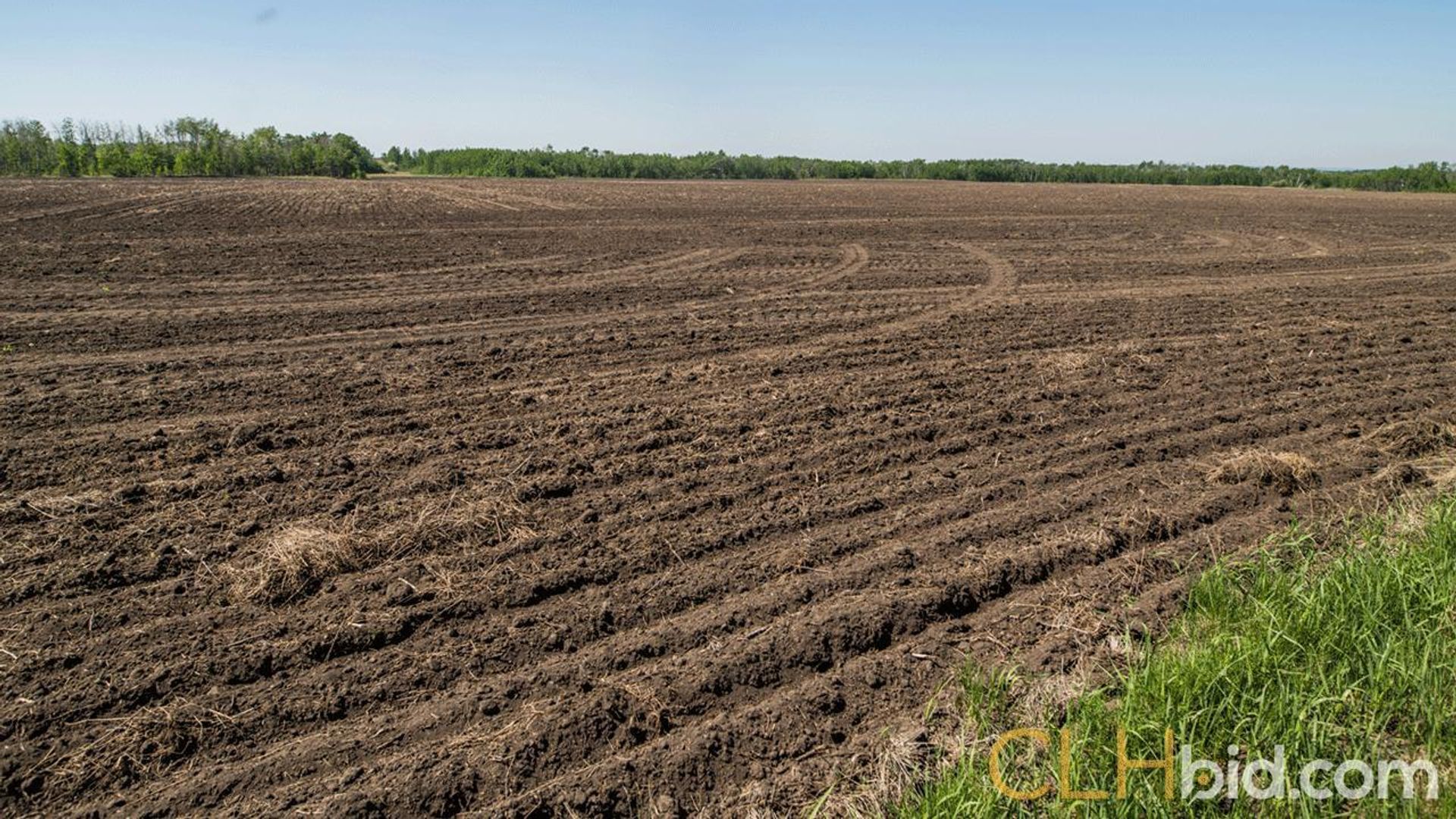 kleskunhillsranchmartineaufarms-15-2