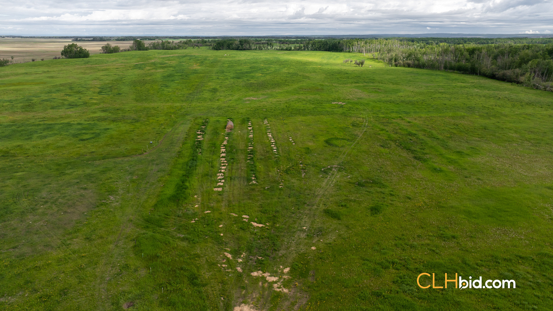 Web The Cattle Crossing-16