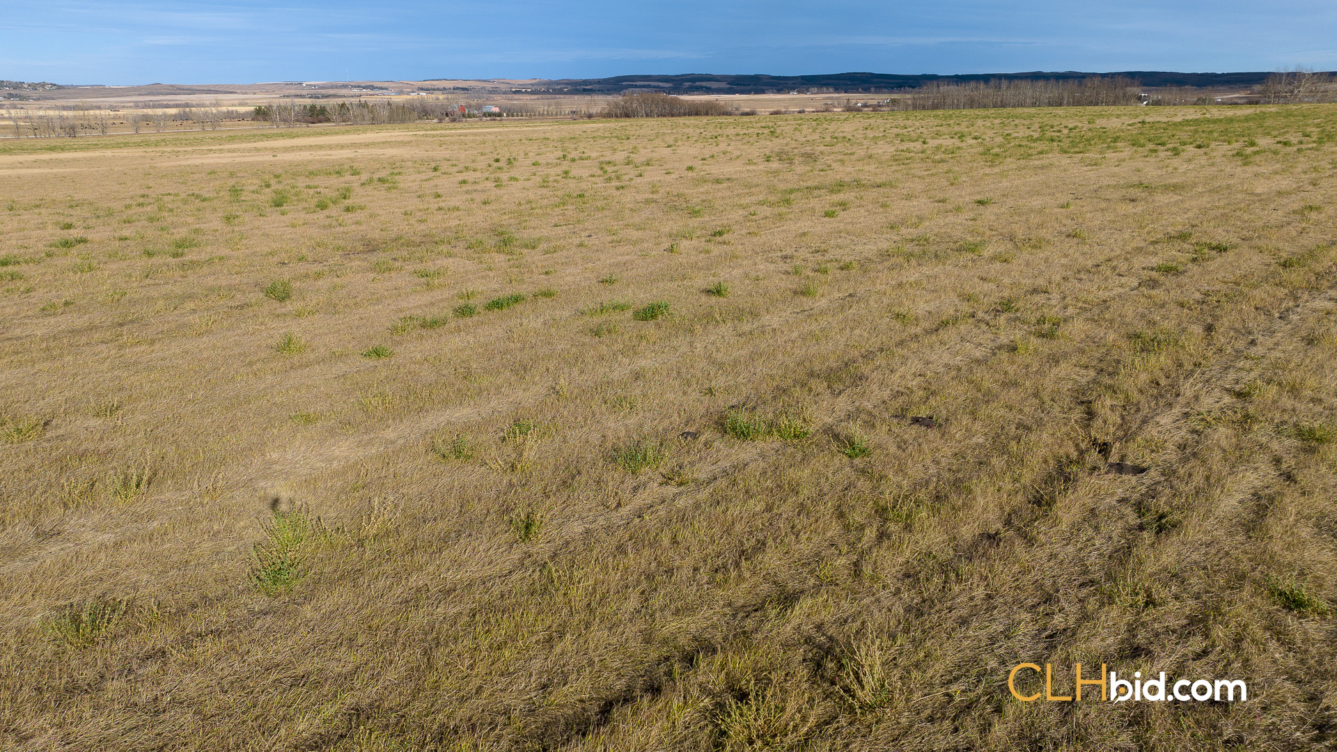 P2 EliteStatusWeb-26