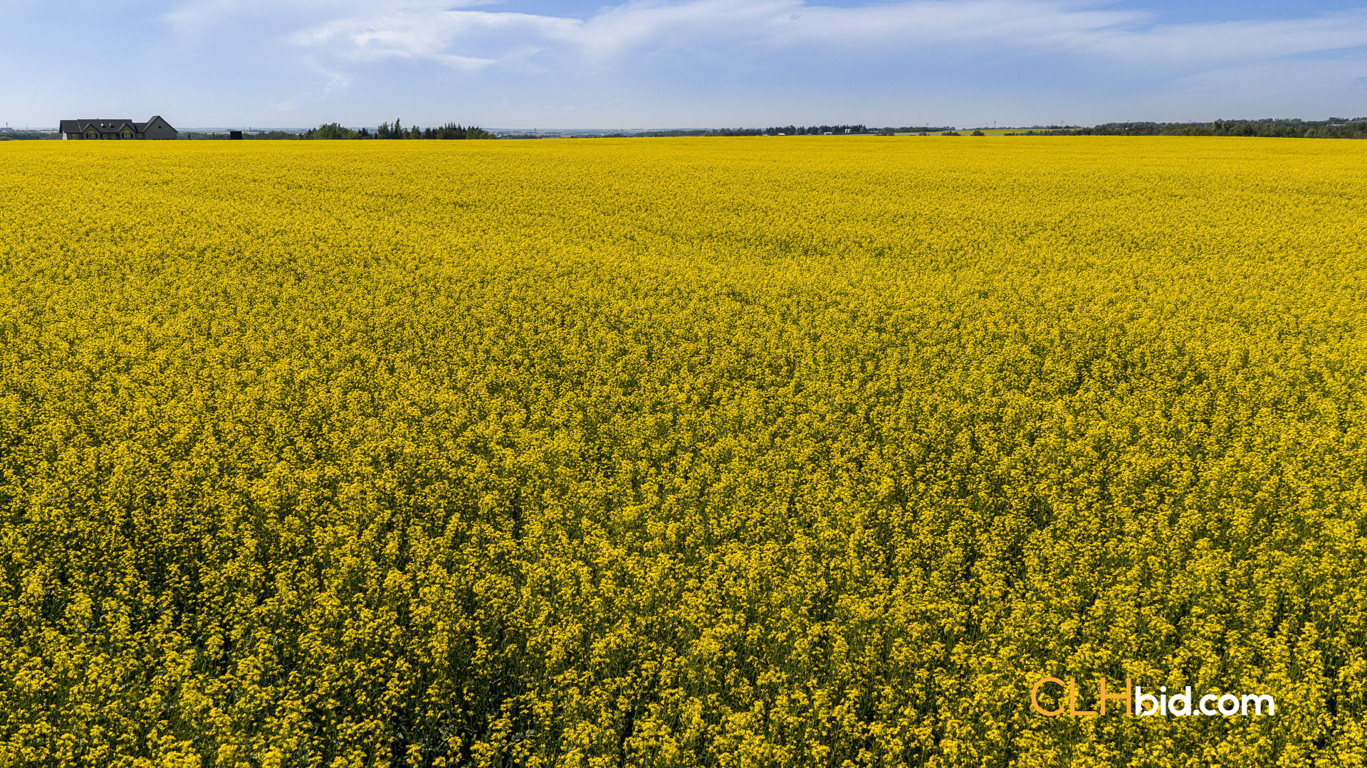 Web-FoothillsHeadliner-3