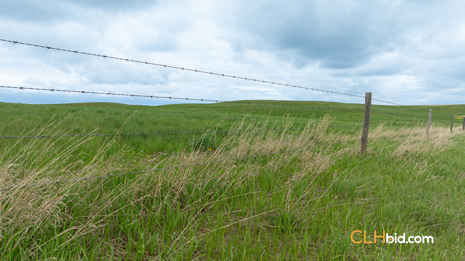 Web-LegacyMoveNEW-24