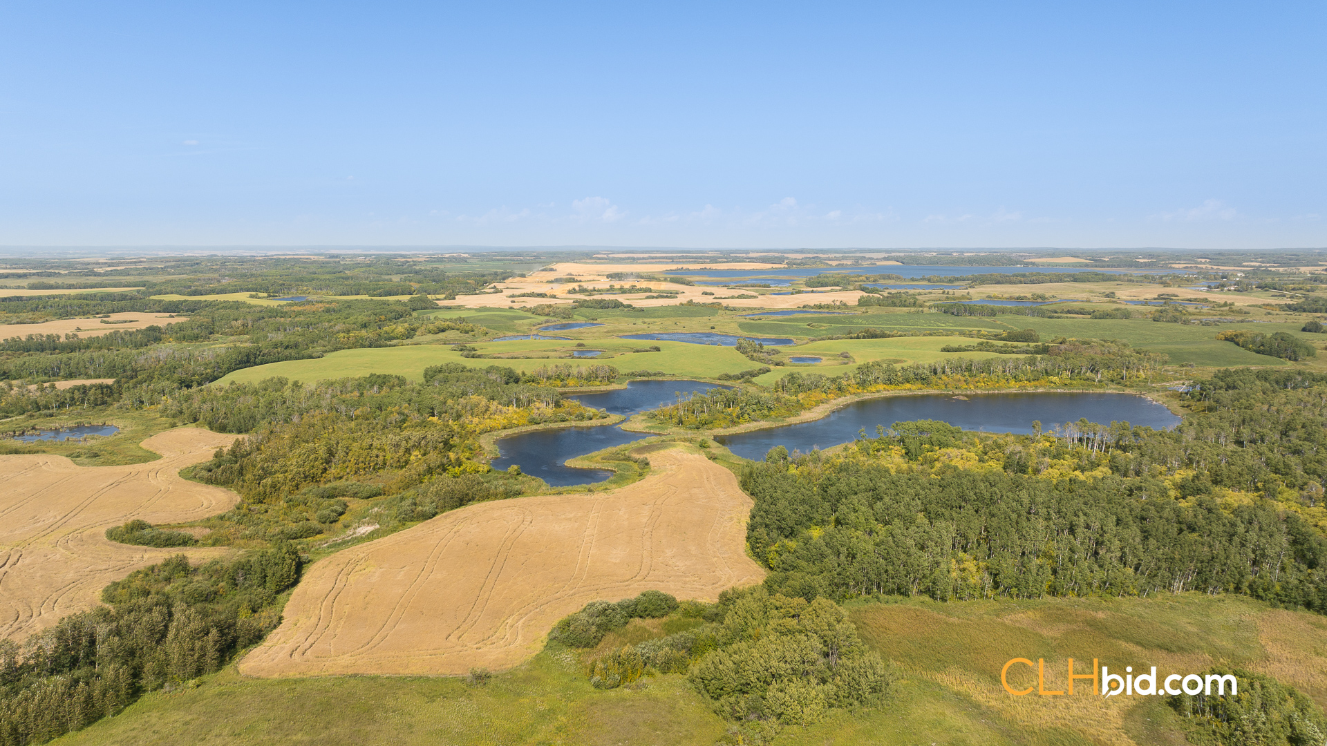 Web-RossburnPrimary-6