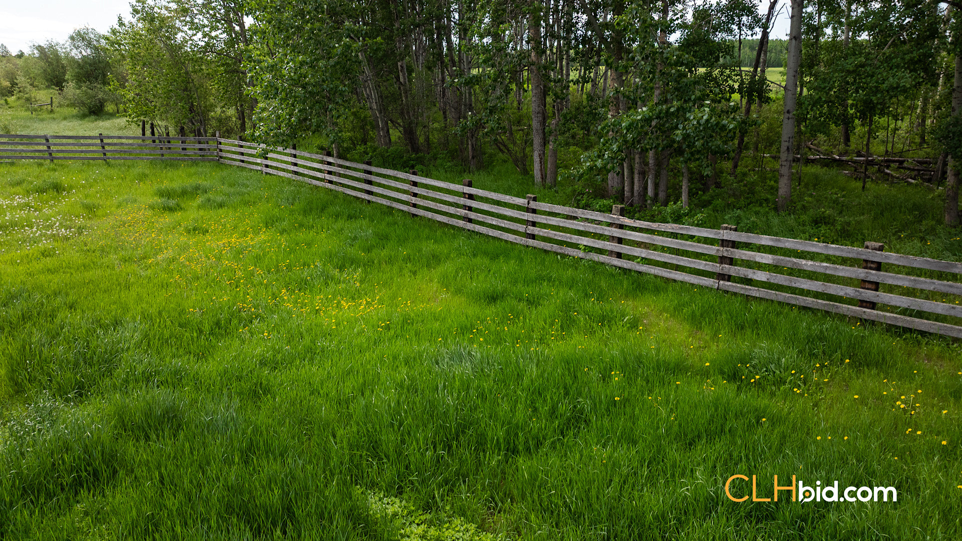 Web The Cattle Crossing-20