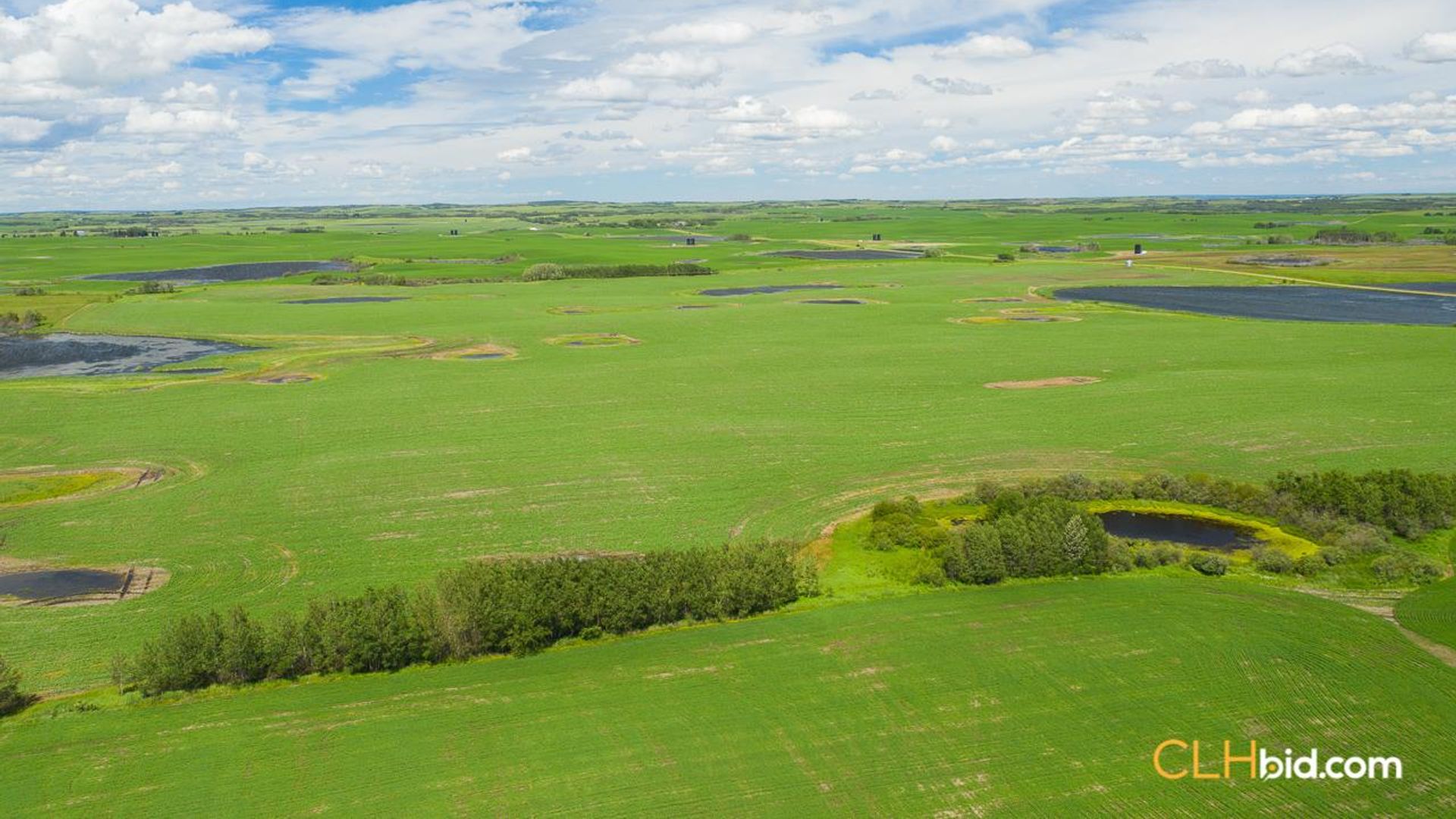 clandonaldcountrycousins-1-5