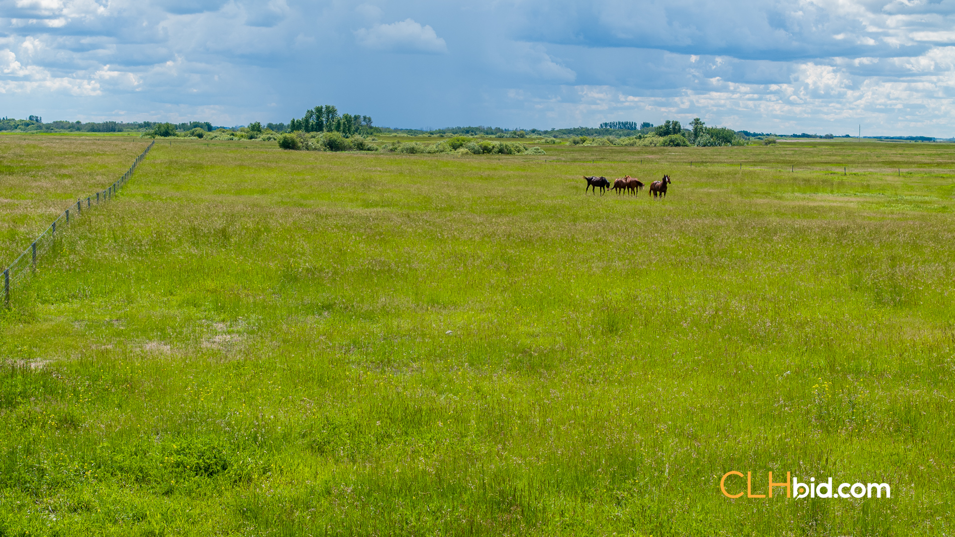Web-Prairie-Haven-Ranch-33