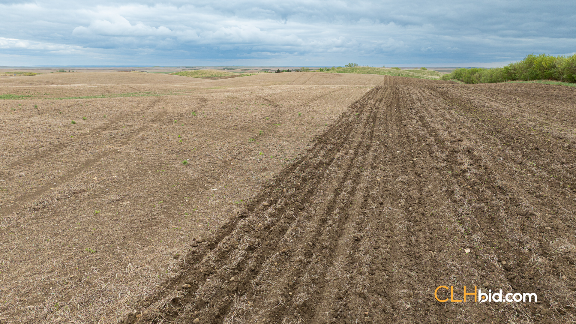 Web-LegacyMoveNEW-63