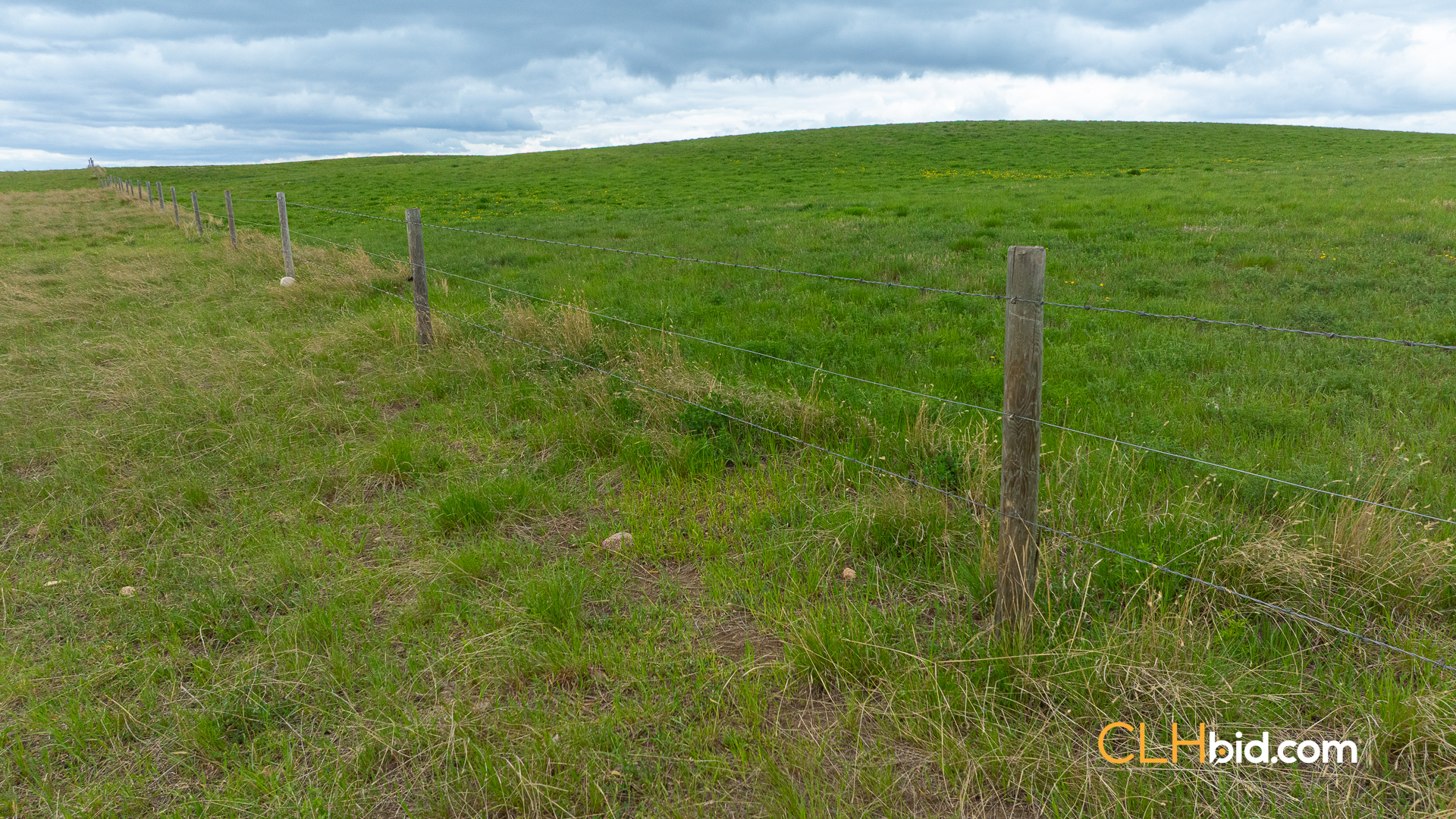 Web-LegacyMoveNEW-43