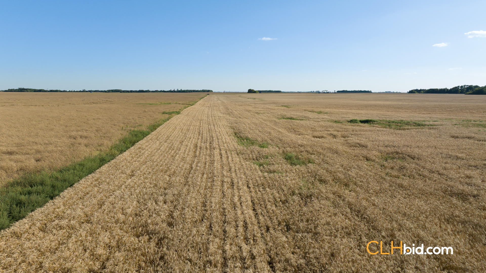 Web-Virden2-17