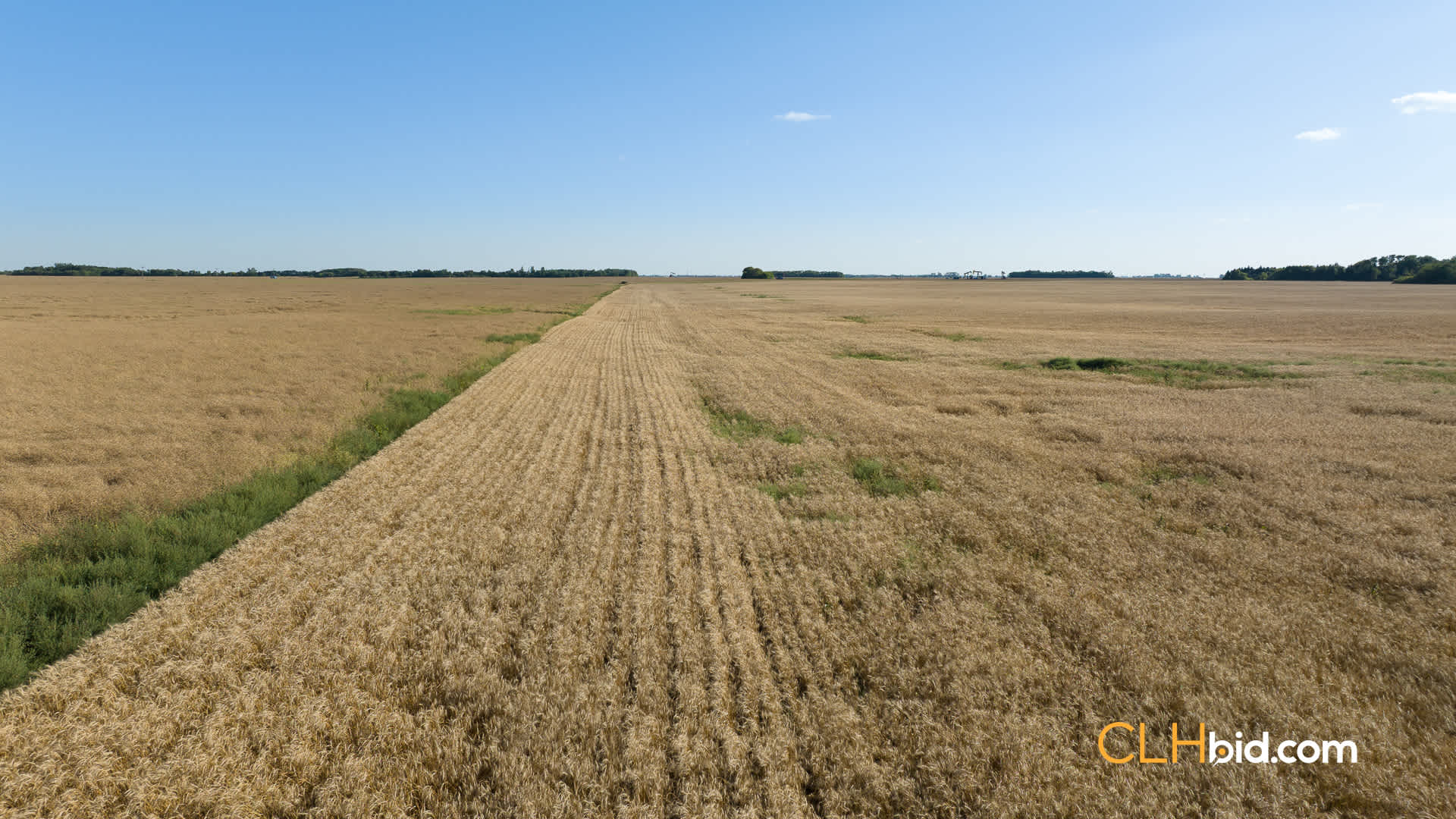 Web-Virden2-17