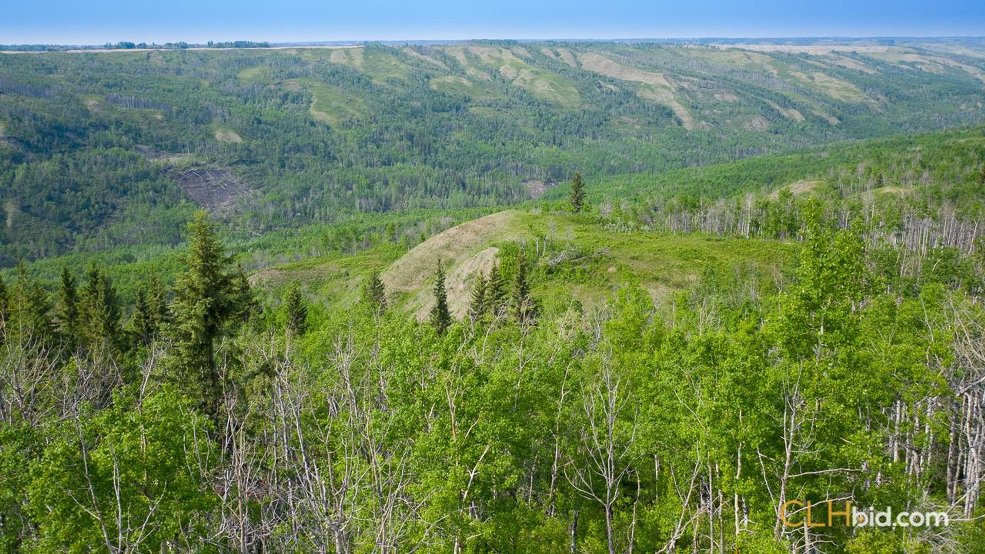 broncocreekhigh-1-14