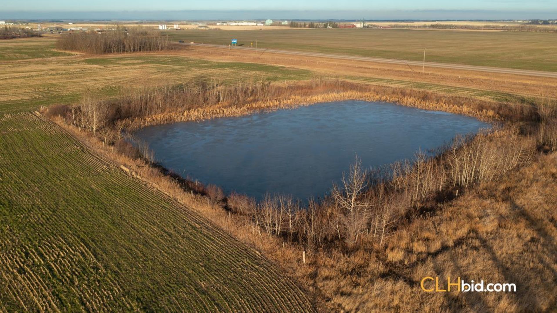 landyoursturgeon-2-9