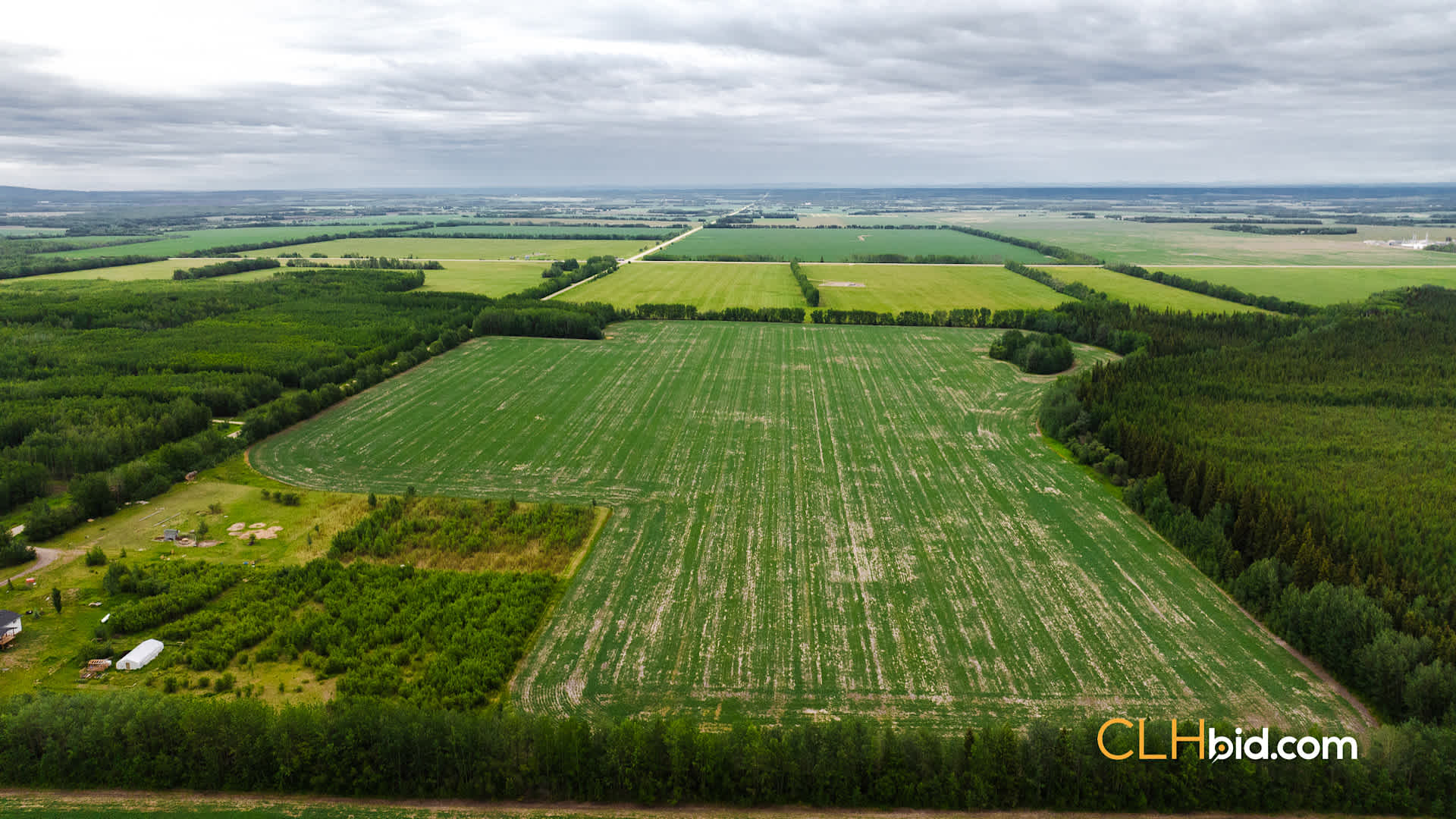 Web Triple Off Hwy 59-3