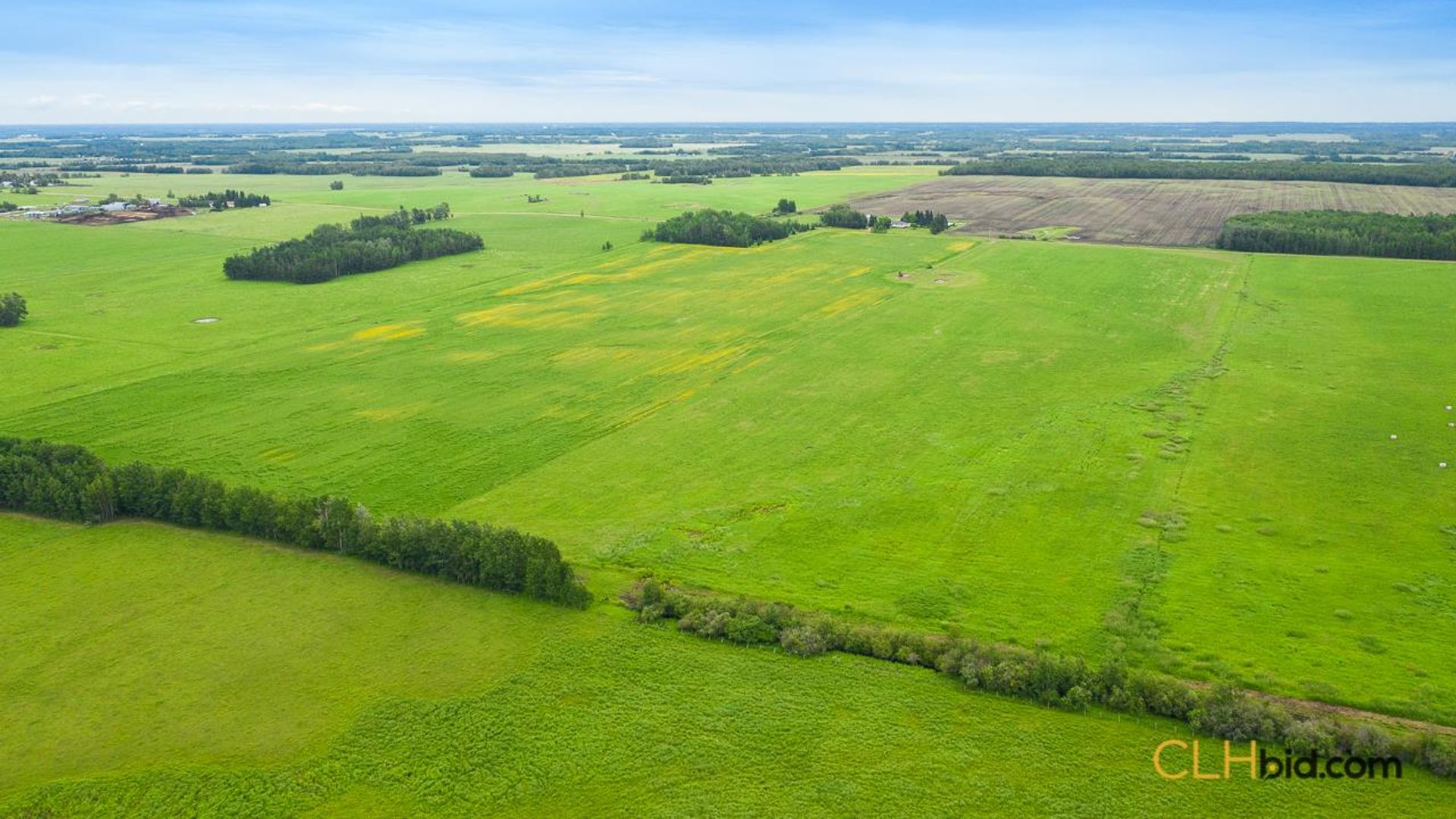 warburgdoubletree-1-3