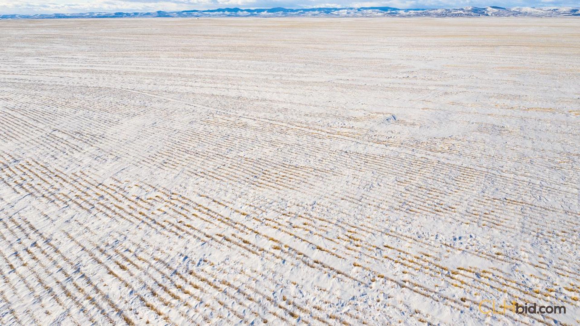 curbsideontheeconomiccorridor-2-4