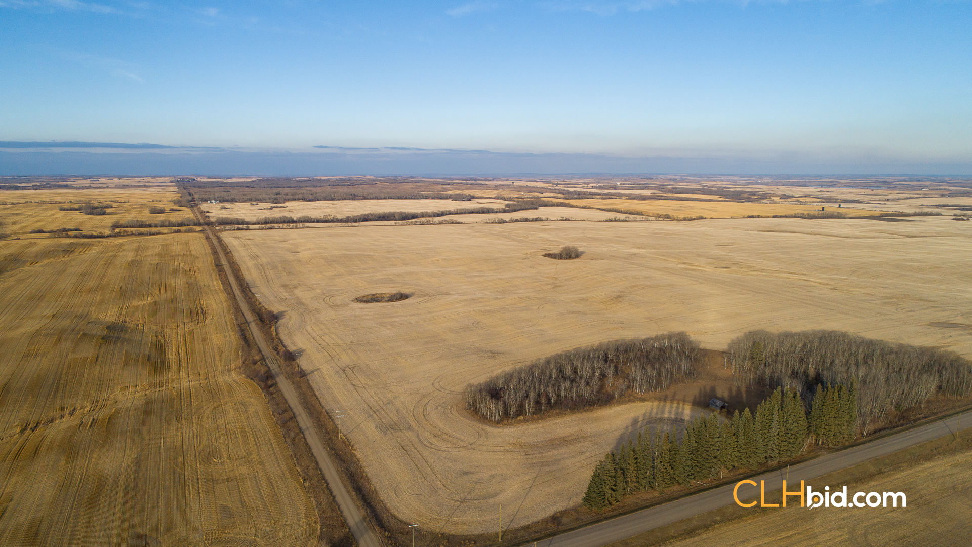 Web-Nine-Of-Diamonds-34