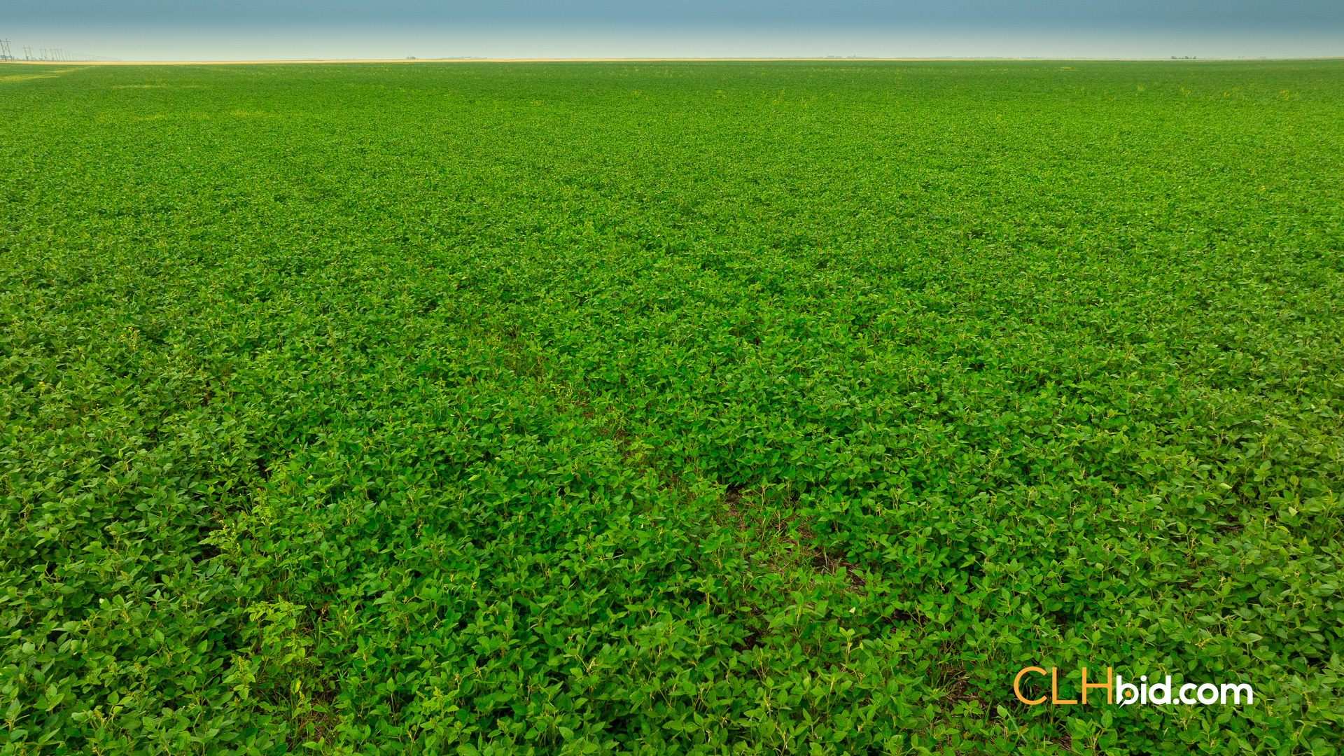 Web-Corner2Corner-10