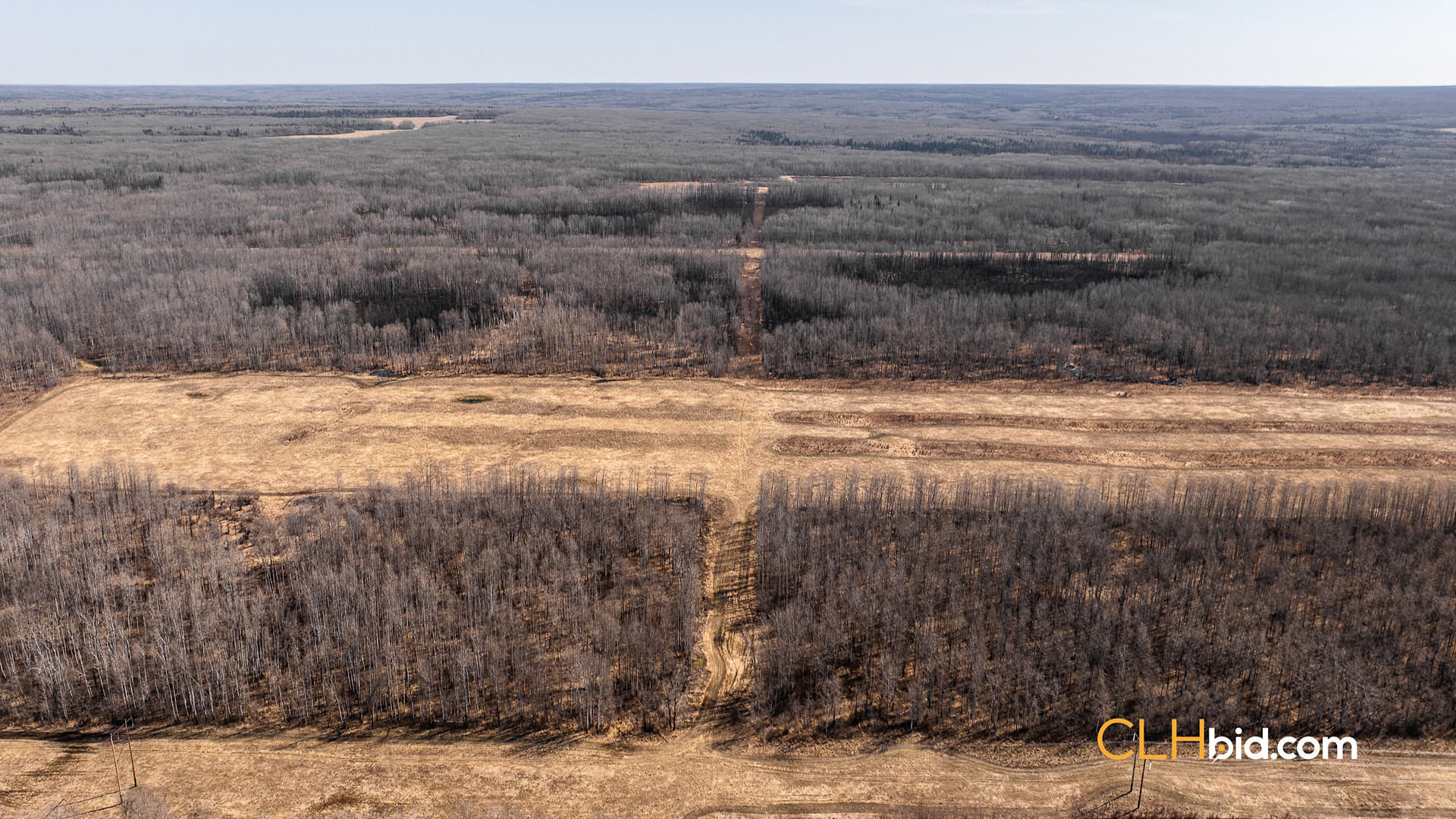 Web Sunrise Igniter Spring-10