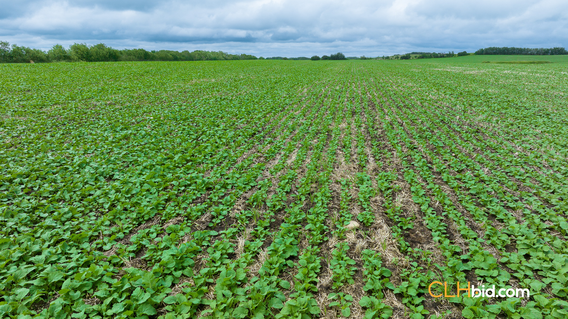 Web-VermilionRiver-2