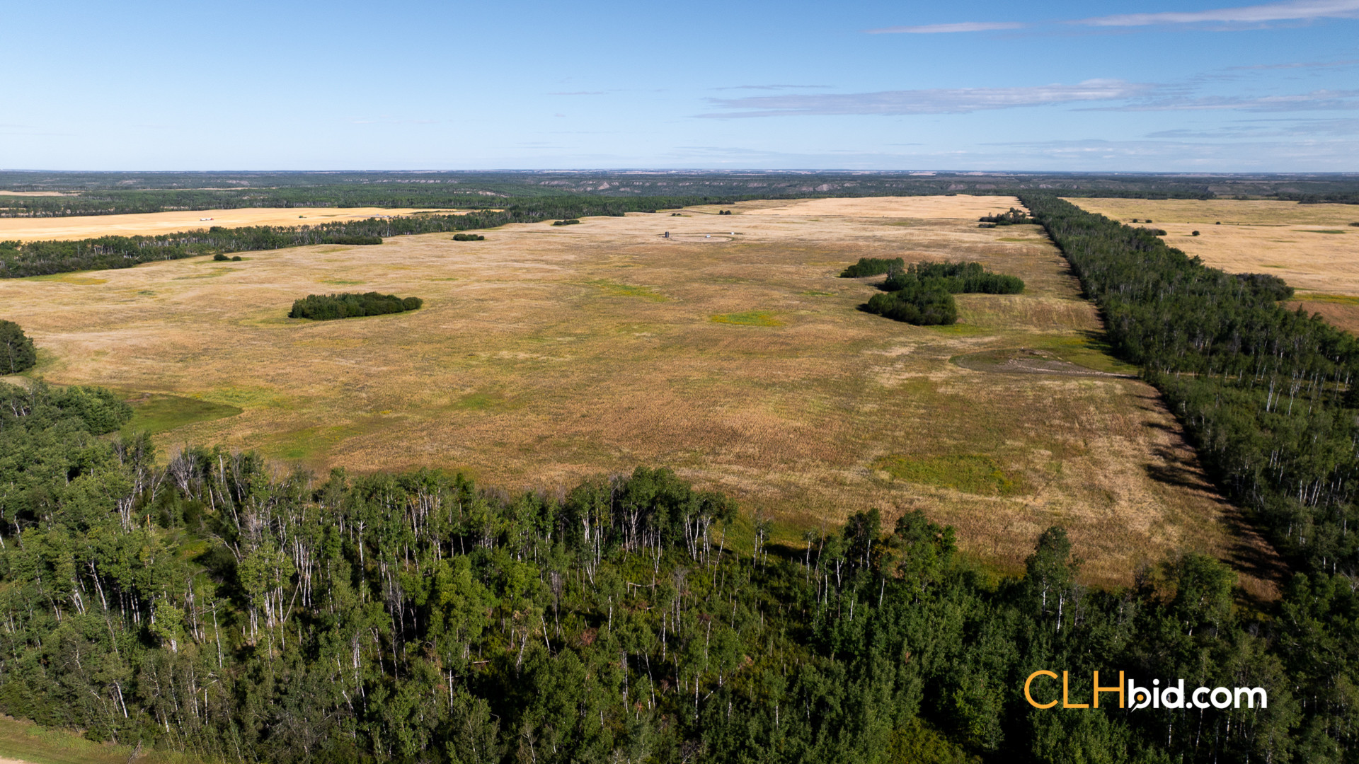 Web Veteran Legacy-9