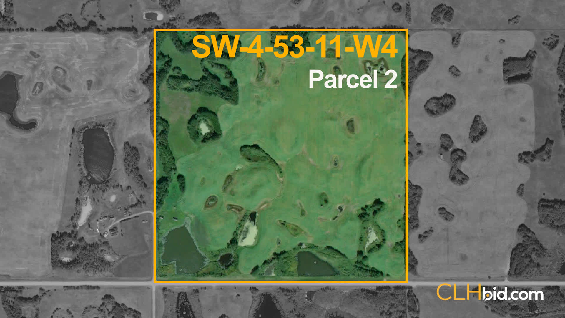 P2-SCHERBA