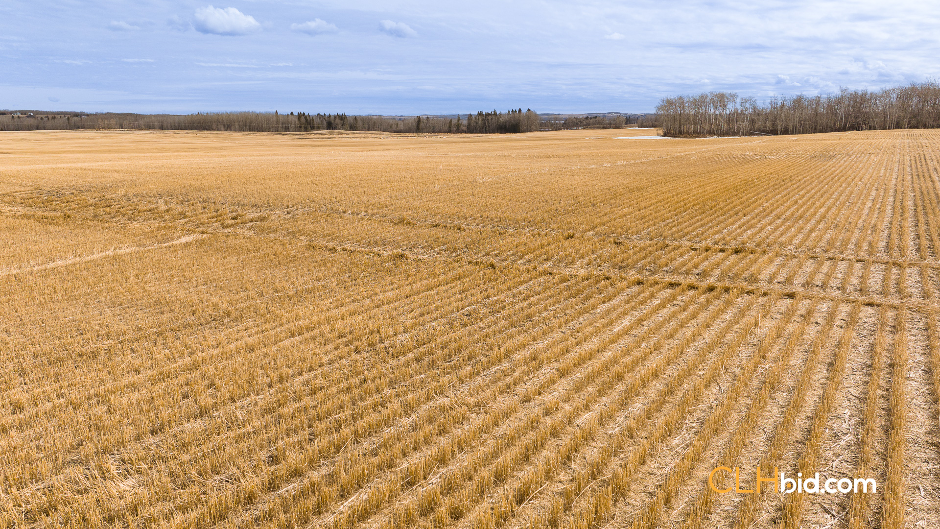 Web-BentleyRoyalty-8