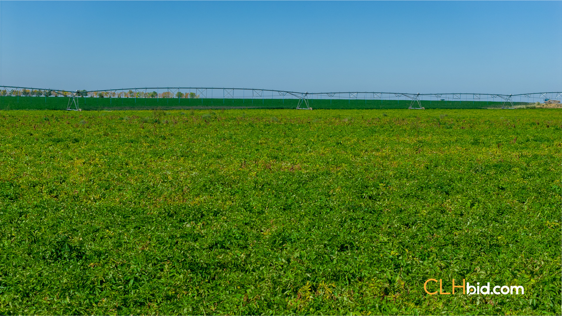 Web-MegaFortyMile-31