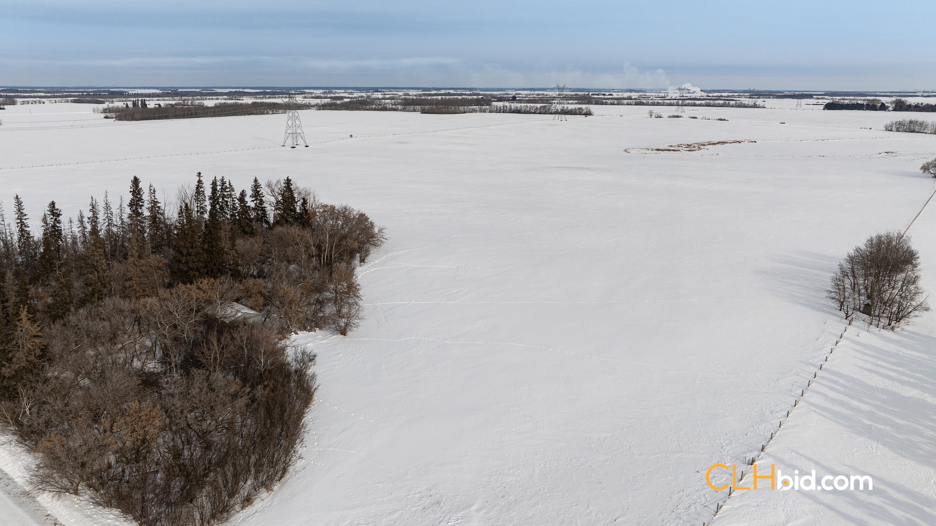 Web-LamontTopGrade-31