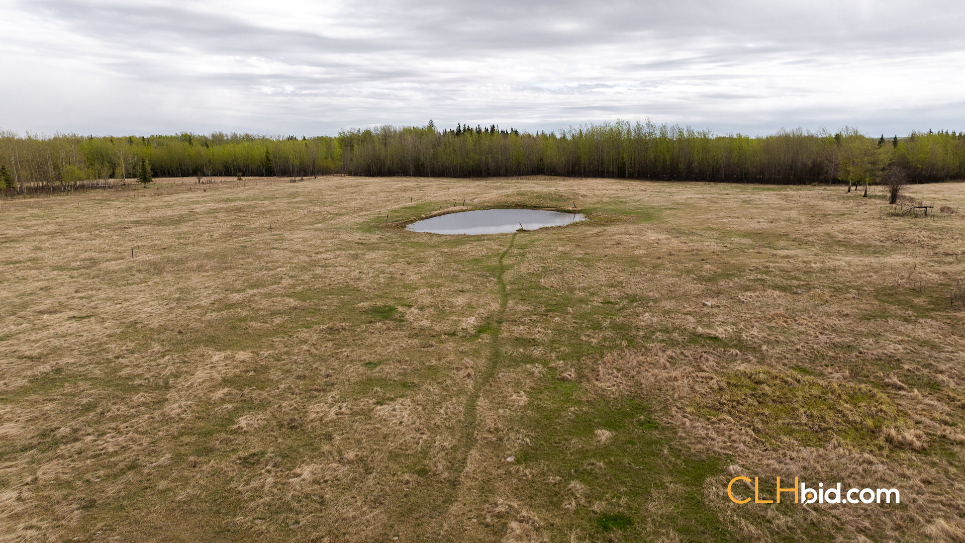 Web Deer Hill Homer Spring-11