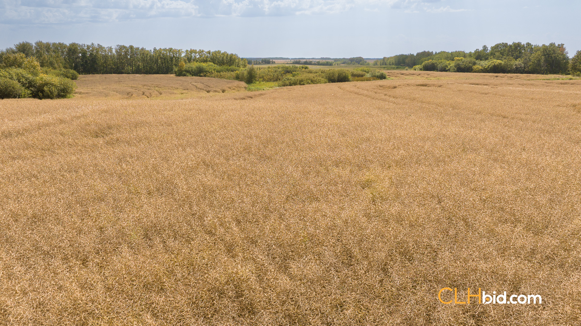 Web-RossburnPrimary-2