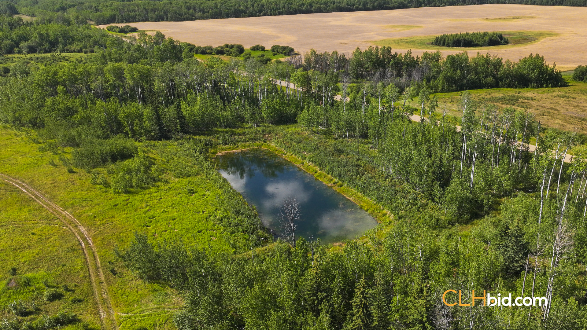 Web Talking Trees 20