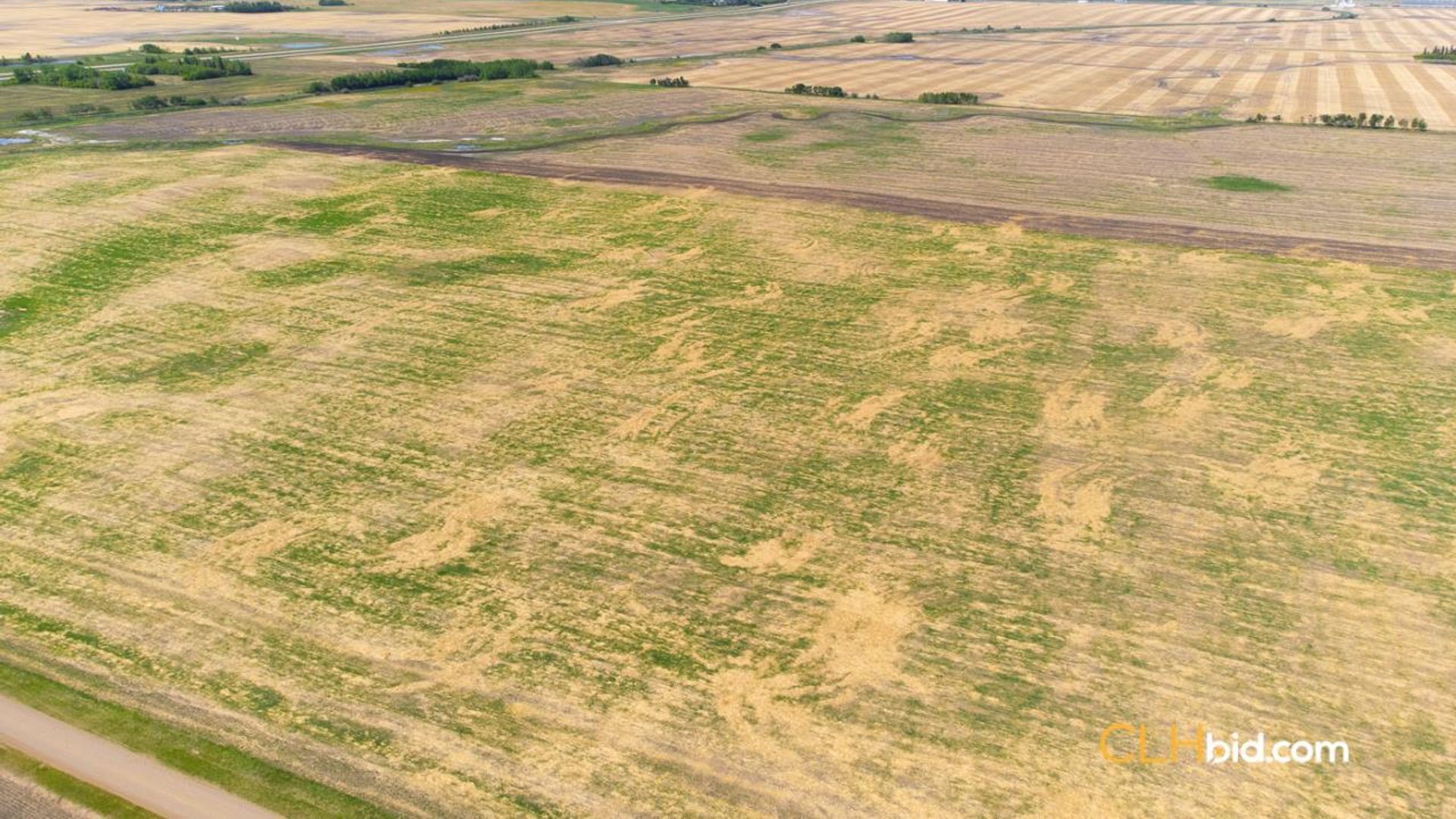 thelongmilevegreville-1-6