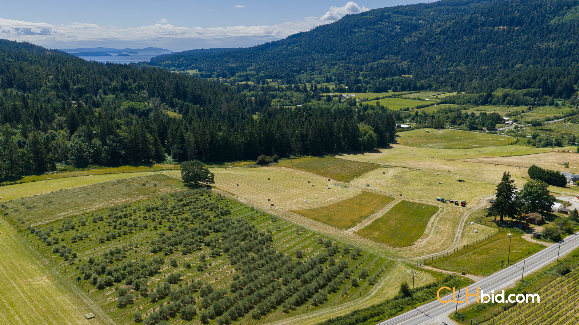 Web-OliveFarmLandNew-19