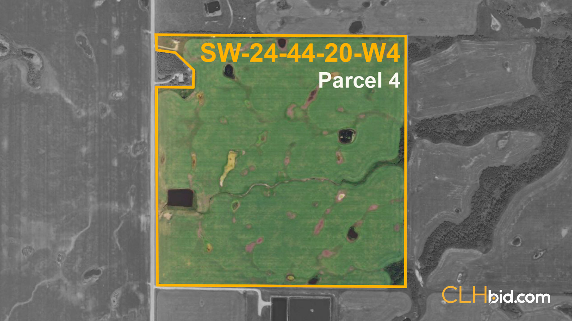 Five Star Plus P4 - WIDE - Contentful