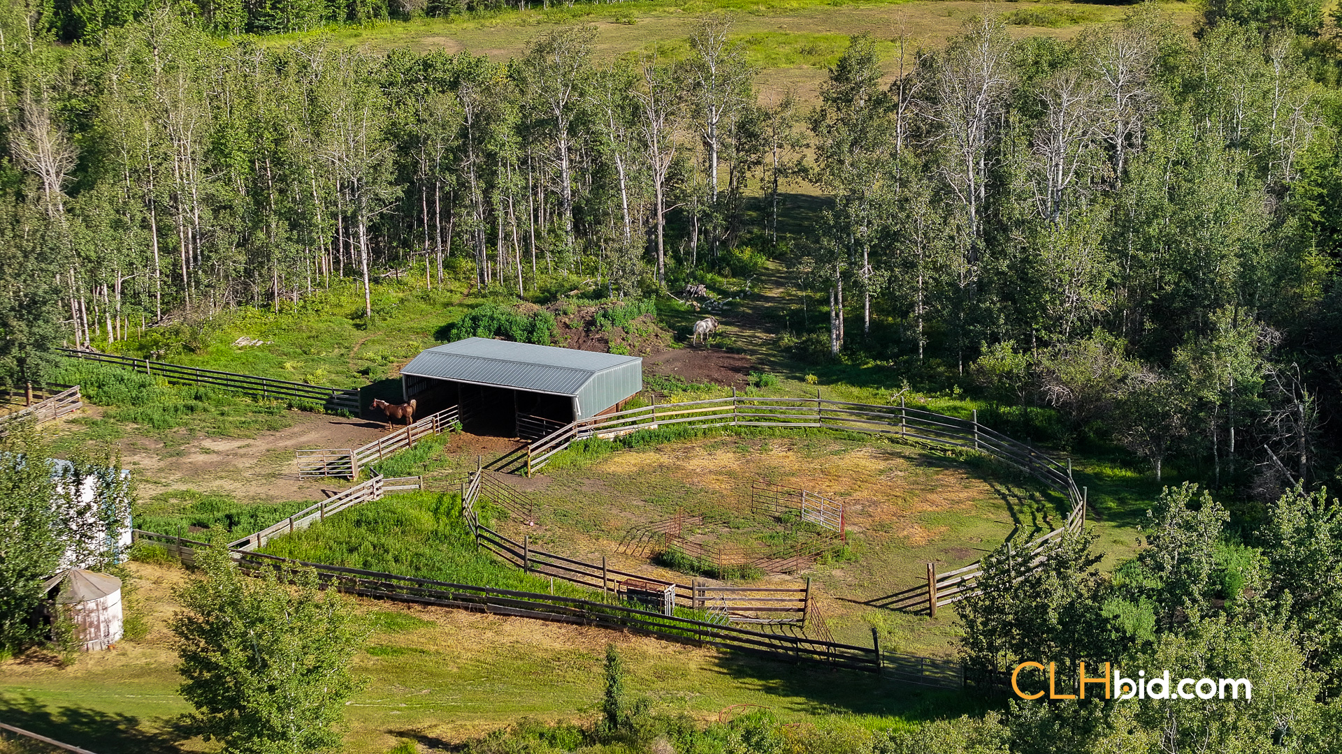 Web Rustlers Roost-6