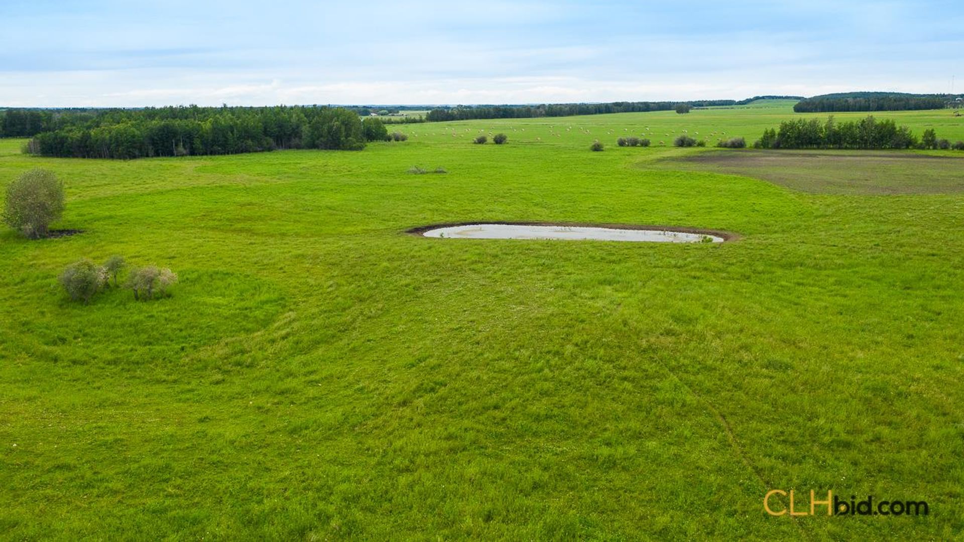 warburgdoubletree-2-9